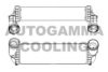 AUTOGAMMA 107307 Intercooler, charger